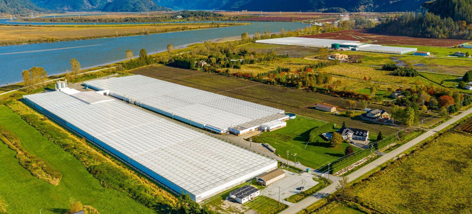 Pitt Meadows-01